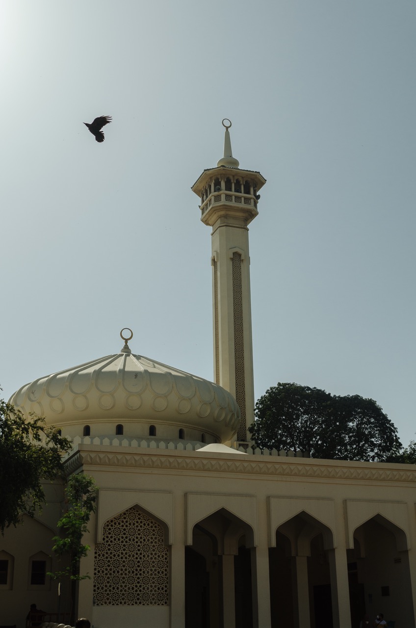 Превью Dubai 2022